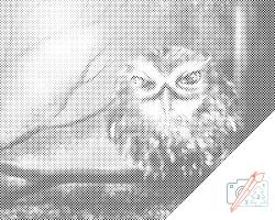  PontPöttyöző - Bölcs bagoly Méret: 30x40cm, Keretezés: Kartonlemezen, Szín: Zöld