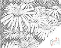  PontPöttyöző - Százszorszép Méret: 30x40cm, Keretezés: Kartonlemezen, Szín: Piros