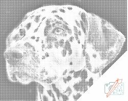 PontPöttyöző - Dalmata Méret: 30x40cm, Keretezés: Kartonlemezen, Szín: Zöld