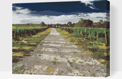  Festés számok szerint - Toszkánai szőlőültetvény Méret: 30x40cm, Keretezés: Kartonlemezen