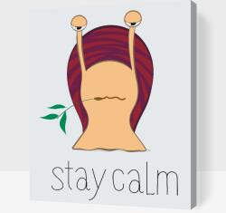  Festés számok szerint - Stay calm csiga Méret: 40x50cm, Keretezés: Műanyagtáblával