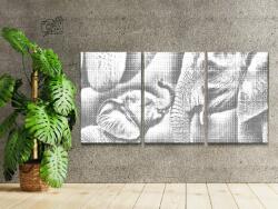 PontPöttyöző - Elefántcsalád (3 db-os készlet) Méret: 30x40cm (3db), Keretezés: Műanyagtáblával, Szín: Zöld