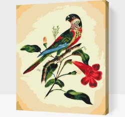 Festés számok szerint - Vintage madár Méret: 30x40cm, Keretezés: Műanyagtáblával