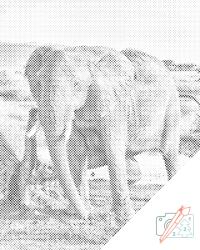 PontPöttyöző - Safari - elefánt Méret: 40x50cm, Keretezés: Fatáblával, Szín: Zöld