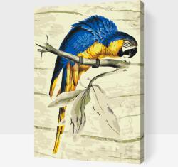  Festés számok szerint - Vintage papagáj Méret: 40x60cm, Keretezés: Műanyagtáblával