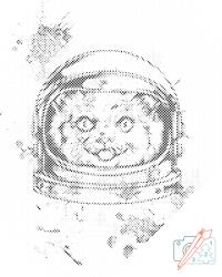 PontPöttyöző - NASA macska Méret: 40x50cm, Keretezés: Fatáblával, Szín: Piros