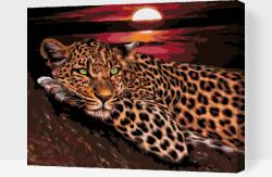  Festés számok szerint - Leopárd naplementénél Méret: 40x50cm, Keretezés: Műanyagtáblával