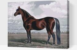 Festés számok szerint - Mesés ló Méret: 30x40cm, Keretezés: Műanyagtáblával