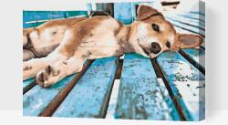  Festés számok szerint - Lustizó kutya Méret: 40x60cm, Keretezés: Kartonlemezen