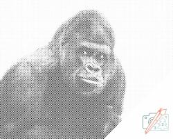  PontPöttyöző - Gorilla Méret: 40x50cm, Keretezés: Műanyagtáblával, Szín: Piros