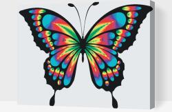  Festés számok szerint - Színes pillangó Méret: 40x50cm, Keretezés: Fatáblával