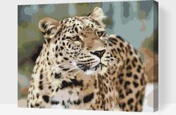 Festés számok szerint - Leopárd a természet lágy ölén Méret: 30x40cm, Keretezés: Műanyagtáblával