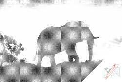 PontPöttyöző - Afrikai elefánt naplementében Méret: 40x60cm, Keretezés: Fatáblával, Szín: Zöld