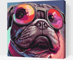 Festés számok szerint - Kutya menő szemüveggel 2 Méret: 50x50cm, Keretezés: Műanyagtáblával