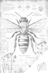 PontPöttyöző - Minden a méhekről Méret: 40x60cm, Keretezés: Fatáblával, Szín: Kék