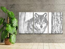  PontPöttyöző - Ragadozó farkas (3 db-os készlet) Méret: 40x60cm (3db), Keretezés: Műanyagtáblával, Szín: Zöld