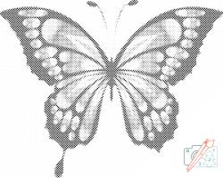 PontPöttyöző - Gyönyörű pillangó Méret: 30x40cm, Keretezés: Műanyagtáblával, Szín: Zöld