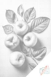  PontPöttyöző - Almás háttér Méret: 40x60cm, Keretezés: Műanyagtáblával, Szín: Fekete