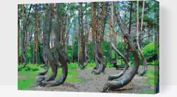  Festés számok szerint - Görbe erdő, Lengyelország Méret: 40x60cm, Keretezés: Fatáblával