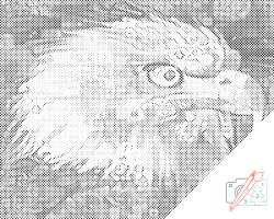 PontPöttyöző - Sasfej Méret: 30x40cm, Keretezés: Műanyagtáblával, Szín: Piros