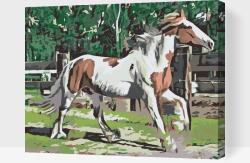 Festés számok szerint - Ló karámban Méret: 40x50cm, Keretezés: Műanyagtáblával