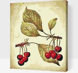  Festés számok szerint - Vintage cseresznyék Méret: 40x50cm, Keretezés: Műanyagtáblával