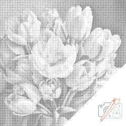  PontPöttyöző - Romantikus tulipáncsokor Méret: 50x50cm, Keretezés: Műanyagtáblával, Szín: Fekete