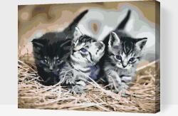  Festés számok szerint - Kiscicák Méret: 40x50cm, Keretezés: Kartonlemezen