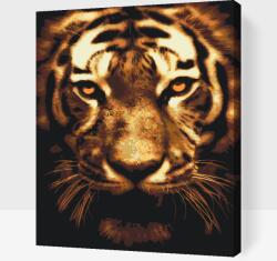 Festés számok szerint - Megvilágított tigris Méret: 40x50cm, Keretezés: Műanyagtáblával