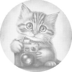  PontPöttyöző - Cicák kamerával Méret: 50x50cm, Keretezés: Műanyagtáblával, Szín: Zöld