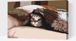  Festés számok szerint - Cica párna alatt Méret: 40x60cm, Keretezés: Kartonlemezen