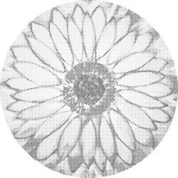  PontPöttyöző - Ragyogó napraforgó Méret: 50x50cm, Keretezés: Műanyagtáblával, Szín: Kék