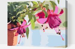 Festés számok szerint - Cserepes fukszia Méret: 30x40cm, Keretezés: Kartonlemezen