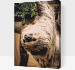  Festés számok szerint - Lajhár 2 Méret: 40x60cm, Keretezés: Kartonlemezen