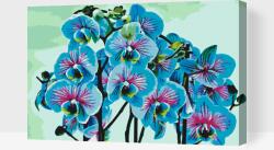  Festés számok szerint - Kék orchidea Méret: 40x60cm, Keretezés: Fatáblával