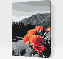  Festés számok szerint - Mák a hegyen Méret: 40x60cm, Keretezés: Kartonlemezen