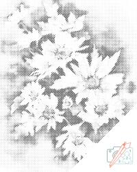  PontPöttyöző - Fehér őszi virág Méret: 30x40cm, Keretezés: Kartonlemezen, Szín: Piros