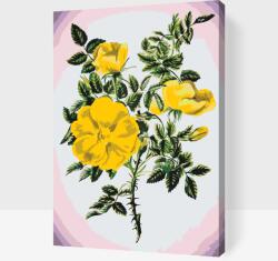  Festés számok szerint - Vintage virágok III Méret: 40x60cm, Keretezés: Műanyagtáblával