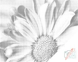 PontPöttyöző - Szelíd virág Méret: 30x40cm, Keretezés: Műanyagtáblával, Szín: Fekete