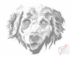  PontPöttyöző - Retriever Méret: 40x50cm, Keretezés: Műanyagtáblával, Szín: Kék