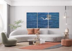  Festés számok szerint - Fehér kócsag (3 db-os készlet) Méret: 40x60cm (3db), Keretezés: Műanyagtáblával