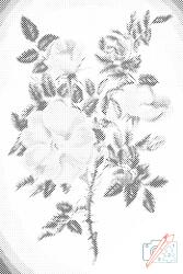  PontPöttyöző - Vintage virágok III Méret: 40x60cm, Keretezés: Műanyagtáblával, Szín: Fekete