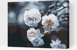 Festés számok szerint - Virágzó fehér rózsák Méret: 30x40cm, Keretezés: Fatáblával