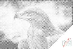  PontPöttyöző - Ragadozó madár Méret: 40x60cm, Keretezés: Műanyagtáblával, Szín: Kék