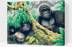 Festés számok szerint - Gorillák Méret: 30x40cm, Keretezés: Kartonlemezen