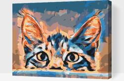 Festés számok szerint - Kíváncsi tekintet Méret: 30x40cm, Keretezés: Kartonlemezen