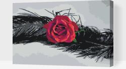  Festés számok szerint - Rózsa tollban Méret: 40x60cm, Keretezés: Műanyagtáblával