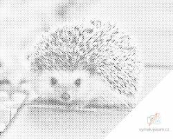 PontPöttyöző - Süni, az éjjeli állatka Méret: 30x40cm, Keretezés: Kartonlemezen, Szín: Zöld