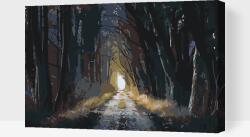  Festés számok szerint - Setét erdő Méret: 40x60cm, Keretezés: Műanyagtáblával