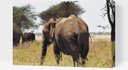  Festés számok szerint - Serengeti Nemzeti Park Méret: 40x60cm, Keretezés: Kartonlemezen